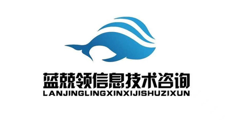 藍兢領(lǐng) 信息技術(shù)咨詢領(lǐng)域的杰出專家